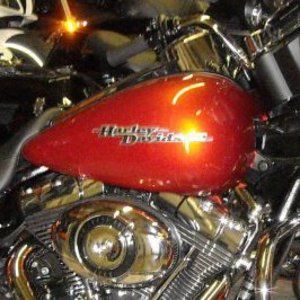 Meet your Posher, George